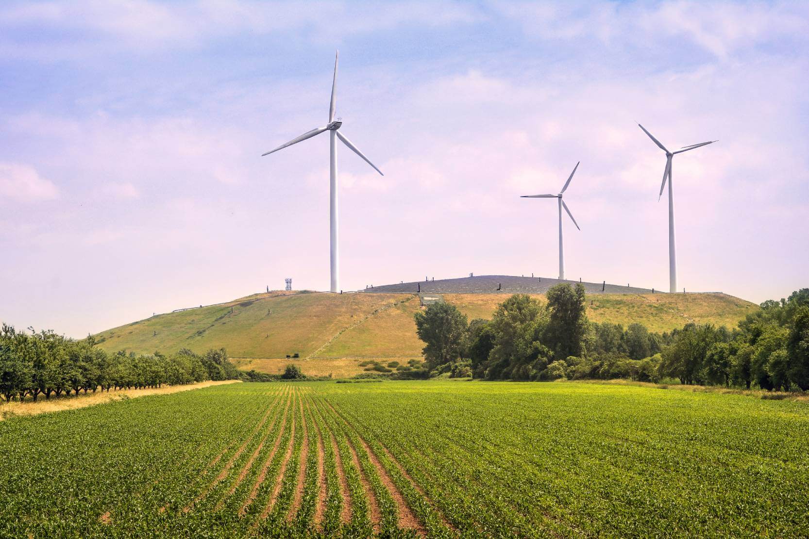 field with wind energy